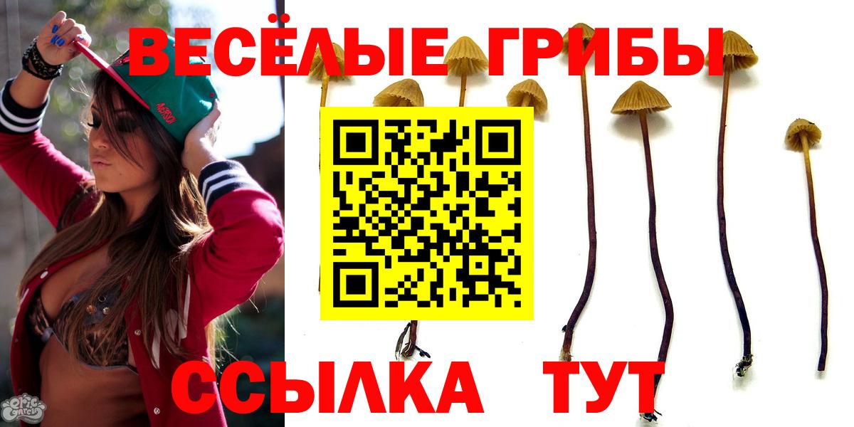 Галлюциногенные грибы ЛСД Шали
